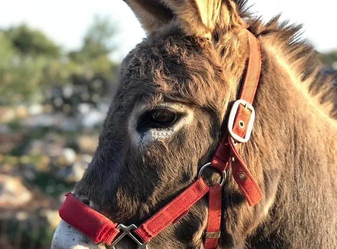 شقة 4 Us سبليت